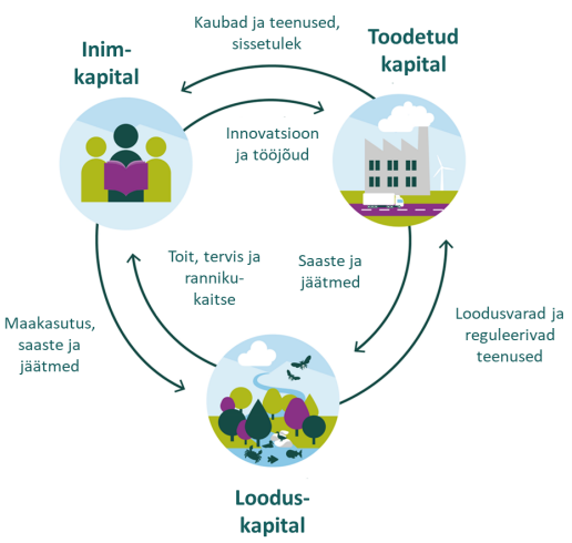Joonis 1. Seosed erinevate kapitalivormide vahel (Dasqupta 2021)