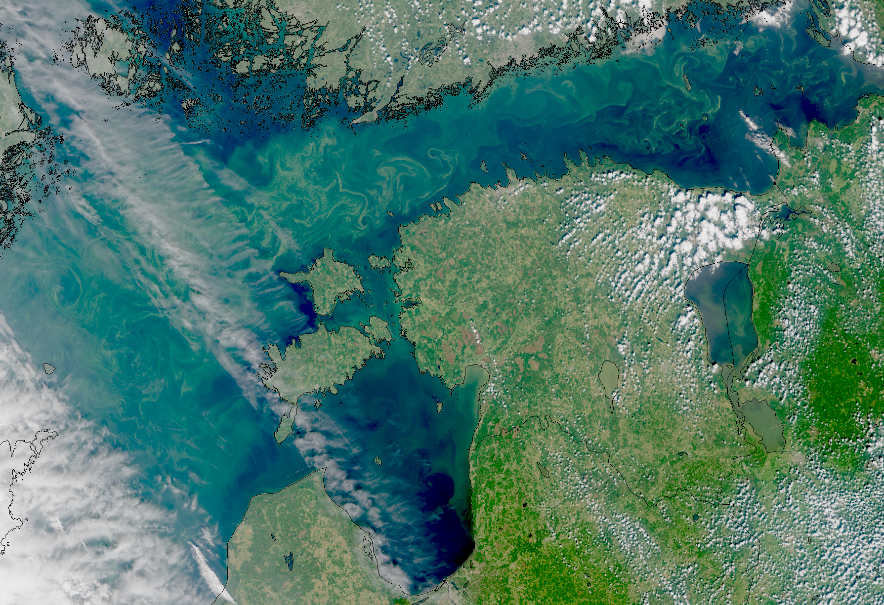 &nbsp; Sentinel-3 satelliitpilt: vee õitsemine Läänemerel. &nbsp;