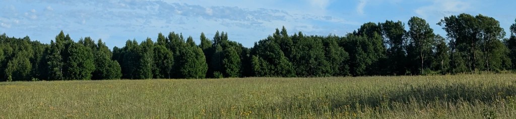 1b1dd309-e5a5-4e80-ae06-5569da880085_0.jpg