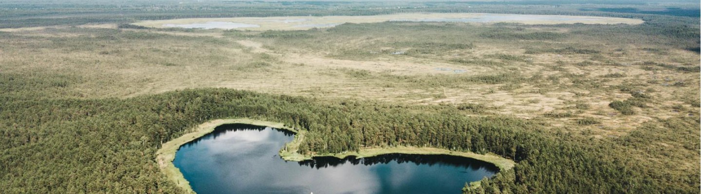 Südamekujuline Parika väikejärv