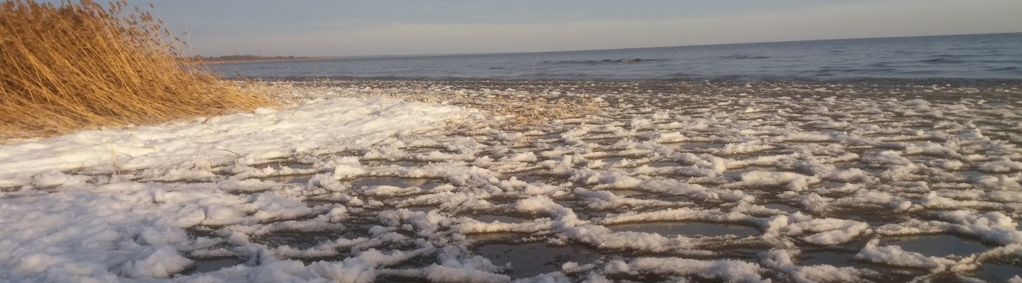 Jää Peipsi järvel Mustvees 24. novembril 2019