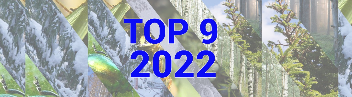 Kollaaž looduspiltidest, peale on kirjutatud TOP 9 2022