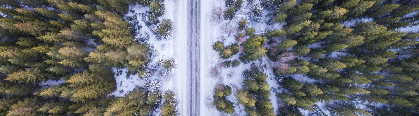 Ülevalt vaade metsale, kust jookseb läbi autotee