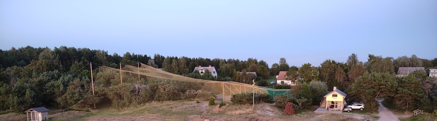 Mõrdpüünis